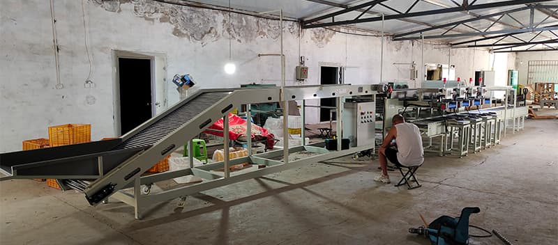 images/1693820251833date processing line.jpg